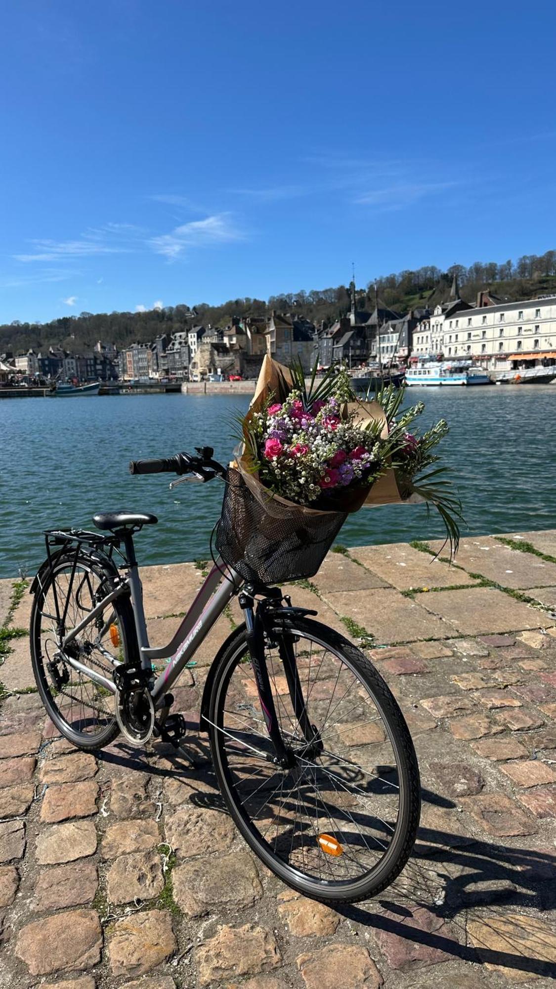 Les Calins D'Honfleur Leilighet Eksteriør bilde
